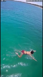 18K views · 50 reactions | Animal Caught Camera! - Real CCTV Video #WildlifeVideo #RealCCTV #newyork #losangeles #newyorkcity #america #UnitedStates #wildanimals | Social Help | Facebook