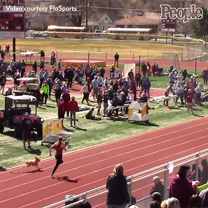 300K views · 2.5K reactions | This pup is a winner! |: FloSports | People | Facebook