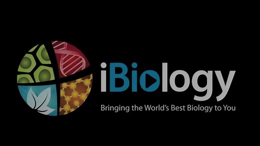 转载ibiology | Microscopy 25-微分干涉相差显微镜