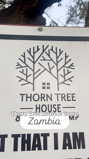 Thorn Tree House and Tented Camp, Livingstone, Zambia 🇿🇲 A hidden gem found by @epic_africa on their recent trip through Botswana, Zambia and Zimbabwe! Ideally located just a few kilometres from Victoria Falls, this camp is an affordable and serene spot to stay while you explore the Zambian side of Victoria Falls! Complete with grassed campsites and chalet or tented accommodation, a communal lounge overlooks a river that is frequented by elephants and hippo. Clean, hot water ablutions are only