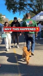 94K views · 330 reactions | Breaking down displacement behavior...