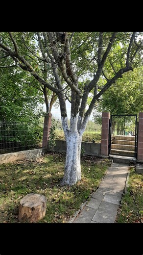 Ramiza Rekanovic on Reels