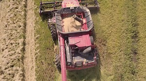 It's harvest time in Arkansas! We visited Tollville rice farmer Mason Sickel to capture some of the hard work that's happening in the fields right now. Did you know: 🌾 Arkansas produces more rice than any other state in the country 🌾 Arkansas rice contributes more than $6 billion to the state’s economy every year 🌾 Rice employs nearly 25,000 Arkansans | Arkansas Farm Bureau Federation