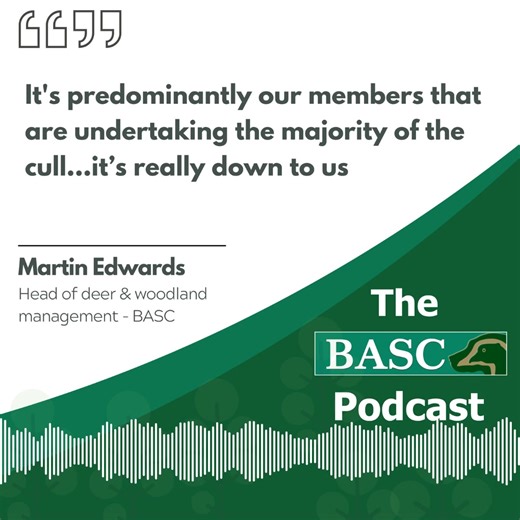3K views · 24 reactions | The March episode of our podcast is now LIVE! Host Tom explores how BASC helps people get into deer stalking, what training pathways are available and how we provide opportunities for members to develop their practical skills... 歷 https://orlo.uk/LISTEN_HERE_0ION8 歷 | BASC - The British Association for Shooting and Conservation | Facebook