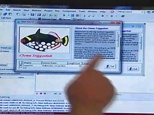 RAD Studio 2010 Touch Gesture Capabilities | Delphi & C++