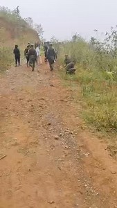 363K views · 6.4K reactions | Tree plantation at Heibok Ching by the village volunteer force. #Manipur #greenearth #afforestation | The News Hunt | Facebook