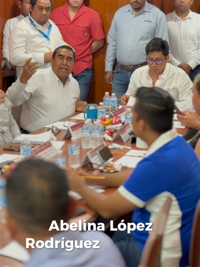 Actualización del Reglamento Interno de CAPAMA