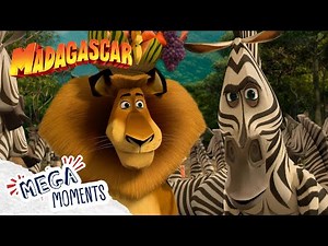Alex Finds Marty! 煉女 | Madagascar 2: Escape Africa | Clip | Mega Moments
