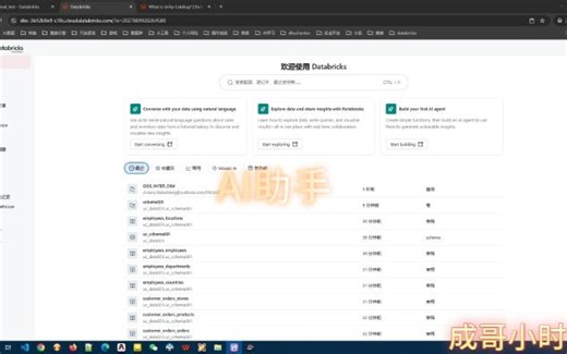 06databricksAI助手