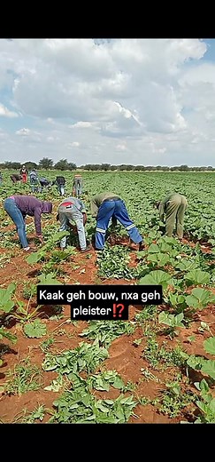 75K views · 363 reactions | ��� | Petrose Catalyst Morwamotho | Facebook