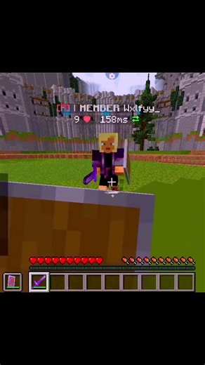 Minecraft java sword pvp #minecraft ‪@SpokyInsane2‬