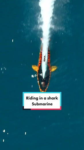 Exploring Underwater Thrills: Shark Submarine Ride Experience