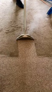 Do your Carpets Need Some TLC 😍🤩🫡 Free phone ☎️ 0800 689 3849 Over 1600 ⭐️⭐️⭐️⭐️⭐️ Reviews over Facebook & Google platforms We Cover Birmingham, Leicestershire, Wolverhampton, Coventry, Warwickshire, Walsall, Cannock, Dudley, Nuneaton, Tamworth and many more areas 🗺️ T&C’s Apply #petfriendly #carpetcleaner #carpetcleaning #lushlife #freshstarts #debug #steamclean #steamcleaning #westmidlands #doglifestyle#dogloversclub #woWwoWwoW #birminghamuk #tamworth #leicestershire #letsgrow | Right Pric