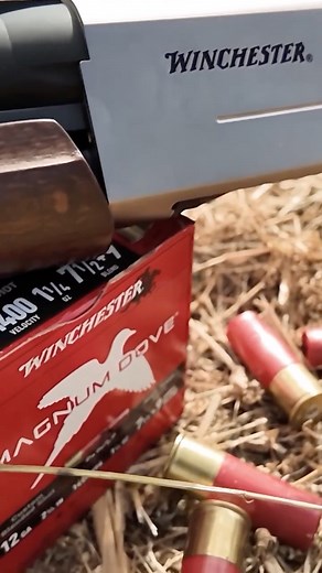 What are you running this season? Winchester's Magnum Dove load delivers 1,400 fps of hard-hitting performance with tighter patterns & greater downrange energy! Have you tried these loads out? | Natchez Outdoors
