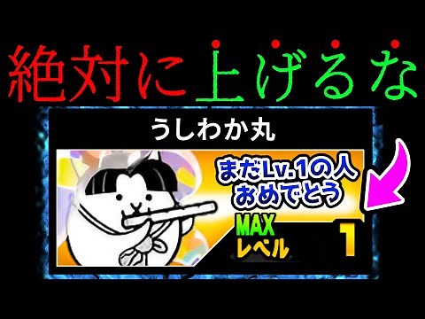 [Beginner's Note] Do not raise Ushiwakamaru's level. The Battle Cats