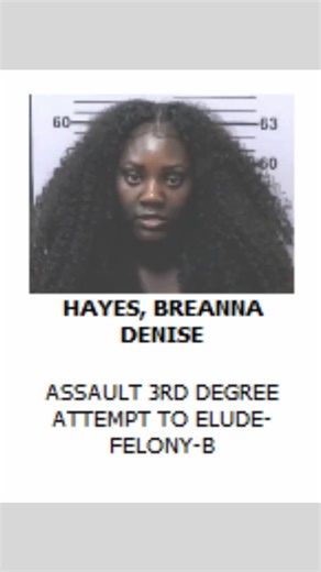 Mugshot Details for Recent Arrests in Mobile
