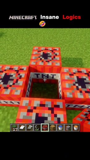 Minecraft Insane Logics 😂