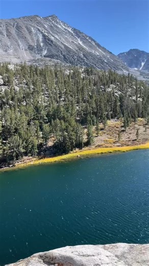 618 reactions · 26 shares | How am I preparing for playing at Strawberry this weekend? By basking in the beauty of Fall in the Sierra! See you Saturday night among the tall pines ☀️ #strawberrymusicfestival | Laurie Lewis | Facebook