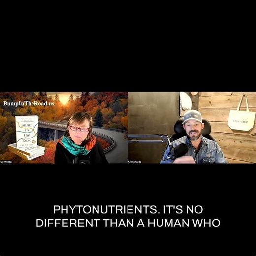 Cows on a Carb Diet: The Weird Science of Fattening Up Cattle