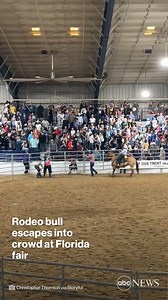 8.4M views · 32K reactions | A crowd panicked as a bull ran loose during a rodeo. Watch how they got it back into its pen. https://abcn.ws/3pTHFad | ABC News | Facebook