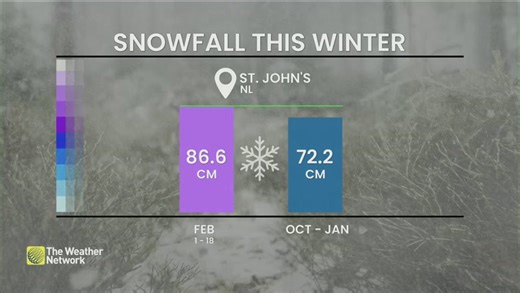 Intensifying low pressure system to bring heavy snow to southeast Newfoundland