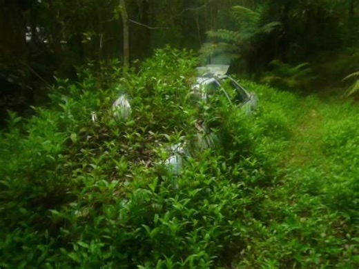 Exploring Nostalgia with Old Digital Cameras