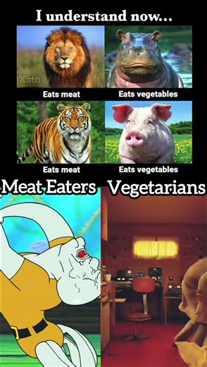 Veg vs Nonveg🥓