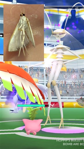 Real Life Pheromosa pokemon