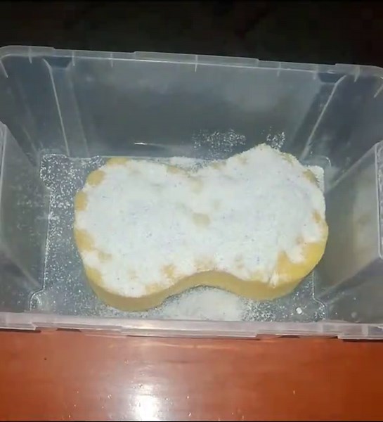 5Dia de Colab con mi amiga bella @loresponge🫧🧼 hoy nos tocó #pinoly #roma #asmr @🧼Claudia ZM 🧽 @🫧Morada bubble🫧 @soap_asmr🧽😘🧼🫰🏻 @🌷🫧naye.Sponge21🫧🌸🧽 @🧽 espumita🧽🇧🇴 @🌽Espumarajo🧽🧼 @🐠🫧🧽 Alejandra 🐠🫧🧽 @SweetVal Sounds💓🫧 @201707 @Mar @🫧🧽🧼 Espumita Feliz 🧼🧽🫧 @Lessy. S @LilSqueezeLily @Angiieclean @ingrid_soap @Terapia🕯️ espuma🫧 y jabón🧼 @🫧MiMi Spongee🫧 @esponjita happy @abbiebubble 🧽🇲🇽🫧 @🫧🧽Jane Nurse bubbles 🧽🫧 #amoelpino