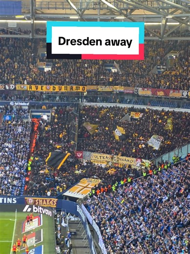 🏟 This is the image of the weekend : the impressive Dynamo Dresden away section in Gelsenkirchen 🔥 #S04SGD #SGD #DynamoDresden #Dresden