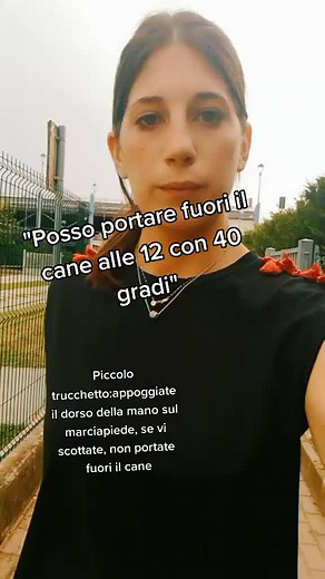 Piccolo trucchetto #reicopartner #reico #educatorecinofilo #addestratorecinofilo #perteeee