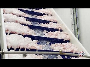 "Pourquoi une ligne industrielle préparation et surgélation crevettes est essentielle ?" #shrimp