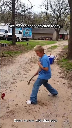 Funny chicken sounds #cute #chickens #chickenlife #foryou #funny