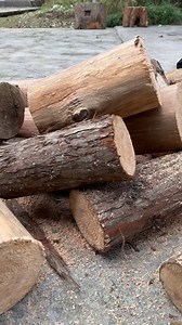 Restored ancient rice huller. According to the book “The Exploitation of the Works of Nature”, “to remove the husk of rice, use a huller”. Only by pushing the rice huller yourself can you truly understand the true meaning of “who knows that every grain of rice on the plate is the result of hard work” | Chui Chui Vlog