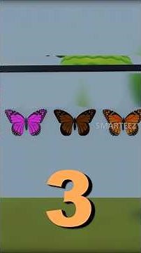 🦋 Fun Subtraction with Butterflies! ➕ Basic Math for Kids 🐻 | Educational Short | 3d animation short