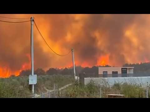 🚨 Ross Fire Disaster in Texas: 80,000+ Acres Burned, 630 Homes Evacuated, Only 12% Contained