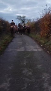 BODY DISPOSAL This is the field of riders waiting for the terriermen to clear away the remains of, just one of the, kills from Saturday 25.11.23. They must have run out of bin liners by this time because they kept drivers held up for over 5 minutes. Our monitor knew exactly what they were doing because she'd witnessed them chasing the fox to exhaustion but couldn't get to it! You can see the young rider, who's been brought up since birth to accept the harrowing outcome of his fun and to feel oka