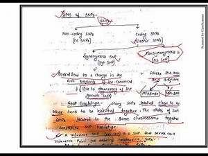 SNP Marker (Single Nucleotide Polymorphism)