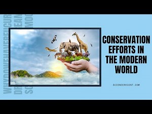 Conservation Efforts in the Modern World