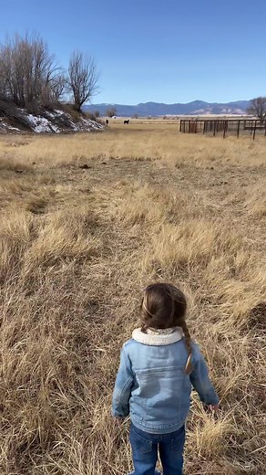 Calling My Horses: A Cowgirl's Whistle for Horse Training