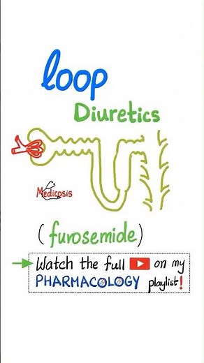 Loop Diuretics - Kidney - Pharmacology- #physiology #anatomy #biology #nurse #doctor #mbbs #science