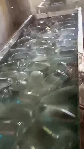 #highlightseveryonefollowers2025 #highlightseveryonefollowers #viralreelschallenge2025viralreelschallengejaiviralreelschallengeviralreelschallenge #solidtubeice | Mini Ice Plant