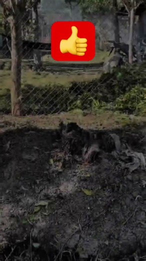 Time lapse 50x than normal…#supportmychannel #timelapse #subscribe