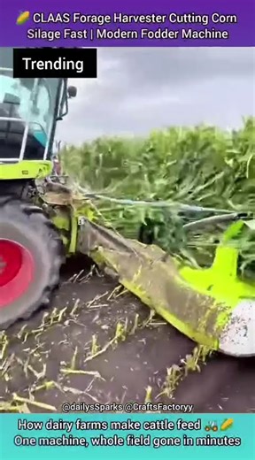 CLAAS Forage Harvester Cutting Corn Silage Fast | Modern Fodder Machine #youtubeshorts