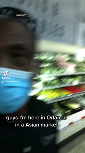 How to Grow Sugarcane at Home in Your Backyard