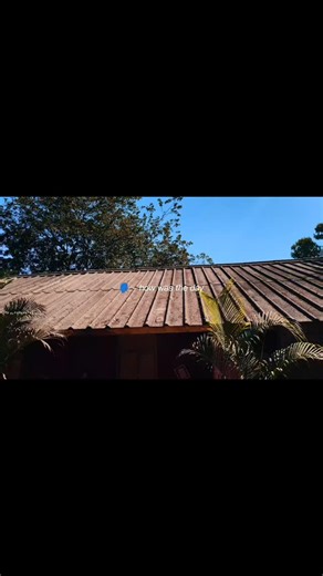 | professional cinematographer on Instagram: ""Close your eyes, & feel this moment". #cinematography #cinematicvideo #viral #fyp #insta #creator #creative #trending #growthmindset mindset"