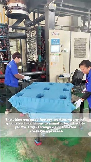 Precision Manufacturing: The Production of Plastic Trays