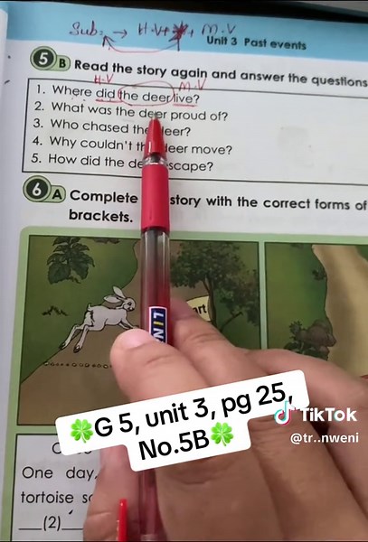 Grade 5 English Unit 3 Overview