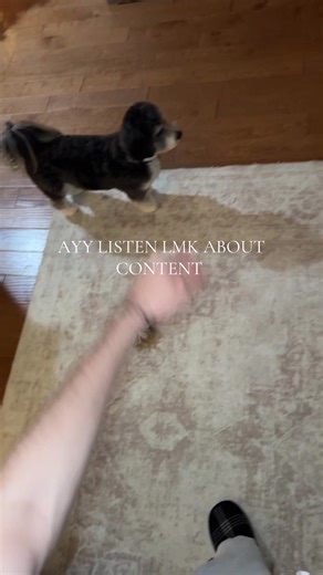 Let me know yall#charleston #fypシ #viral #money #dog