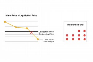 Insurance Fund Definition, Example & Uses